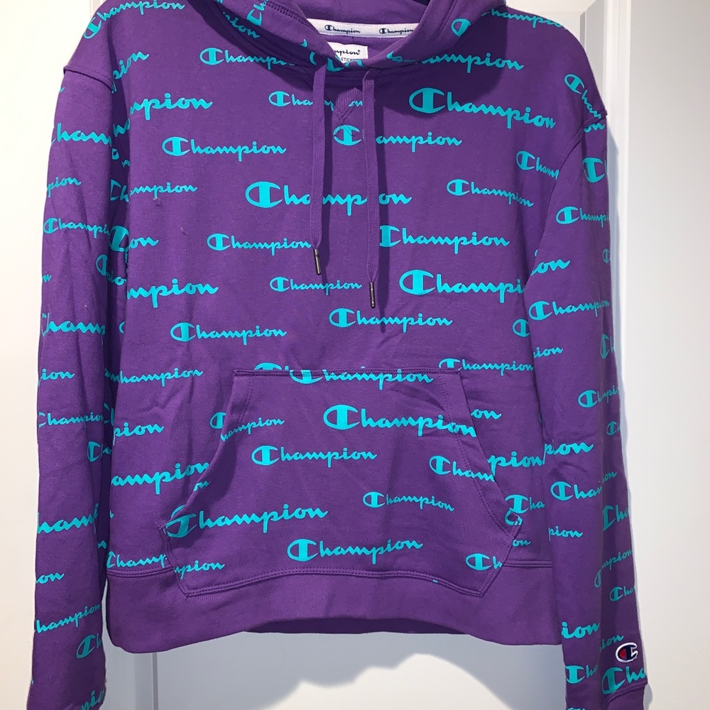 NWT Champion Campus French Terry Hoodie